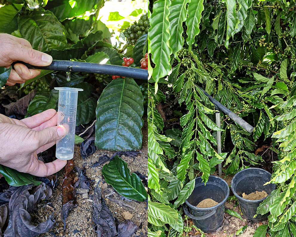 Brazil_Soil-Day_Analysis2_1600x900 (1)