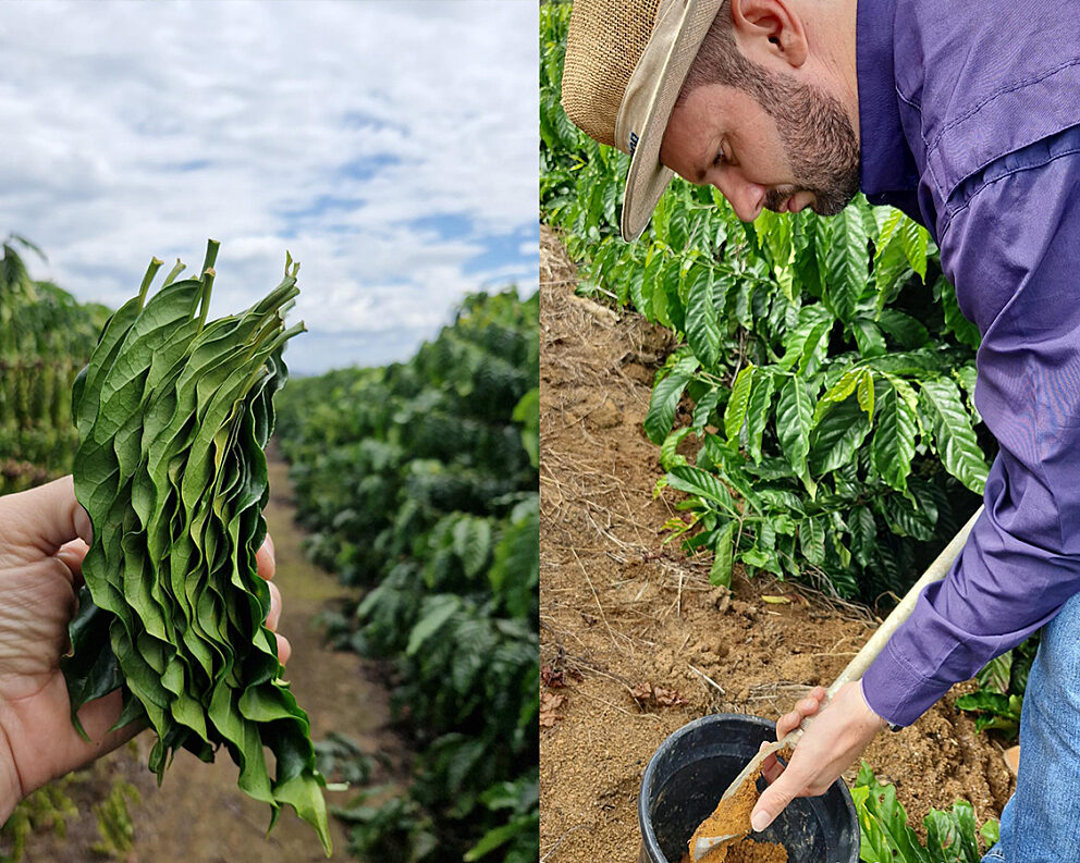Brazil_Soil-Day_Analysis_1600x900