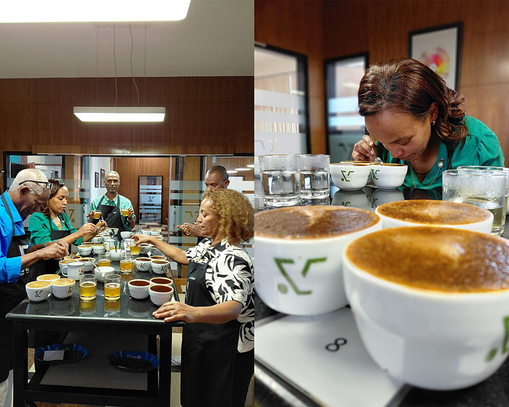 A group of diverse people participate in a coffee tasting at a long table with many cups and bowls on display inside an office-like room.